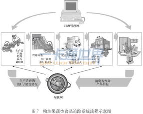 RFID食品追溯管理系統(tǒng)解決方案 安全系統(tǒng)監(jiān)控服務(wù)的創(chuàng)新與應(yīng)用